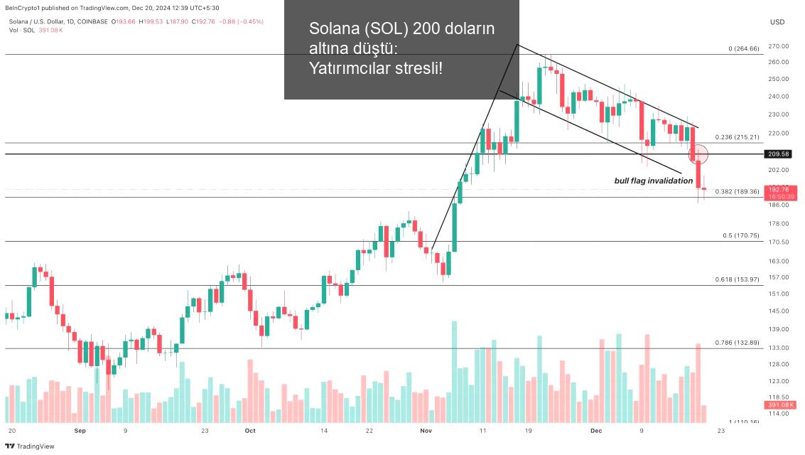 solana-sol-200-dolarin-altina-dustu-yatirimcilar-stresli-1-xfI9iPfB.jpg