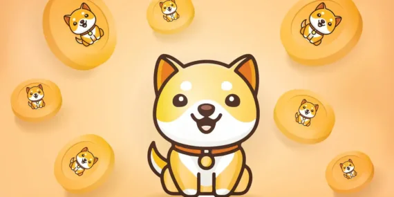 DogeSwap Coin Nedir? Projesi Nedir? Hangi Borsalarda Listeleniyor?