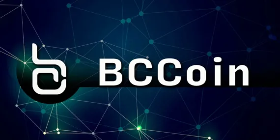 BlackCardCoin BCCOIN Nedir ? Nasıl Alınır ?