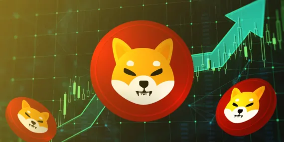 Shiba Inu (SHIB) Coin: 2025 Boğa Piyasasında Yükseliş Beklentisi!