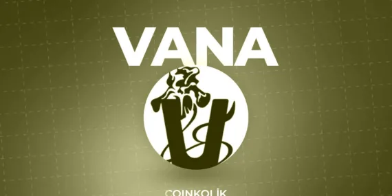 Vana Coin Nedir? V On Vana NFT ve Airdrop